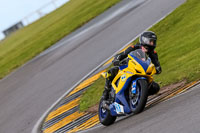 PJ-Motorsport-2019;anglesey-no-limits-trackday;anglesey-photographs;anglesey-trackday-photographs;enduro-digital-images;event-digital-images;eventdigitalimages;no-limits-trackdays;peter-wileman-photography;racing-digital-images;trac-mon;trackday-digital-images;trackday-photos;ty-croes